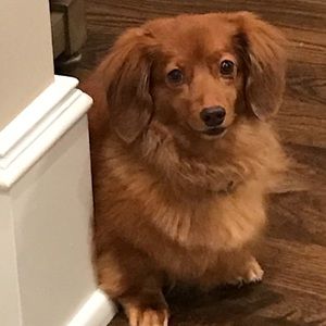 Meet your Posher, Theresa